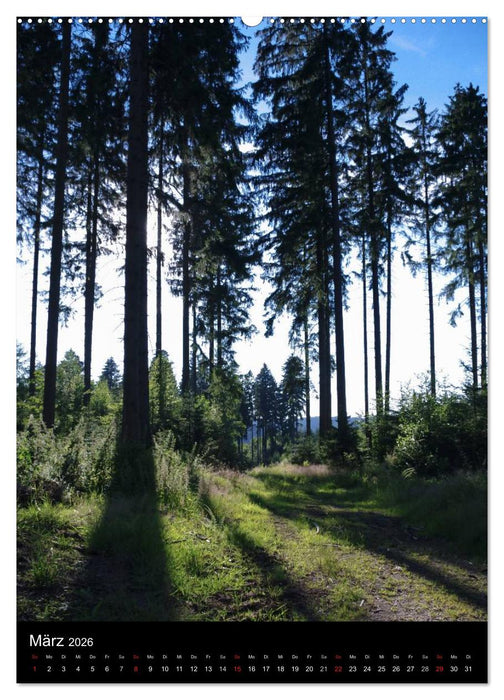 Traumhaftes Siegerland 2026 (CALVENDO Wandkalender 2026)