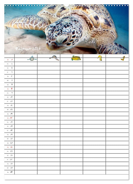 Der Unterwasser Familienplaner 2026 (CALVENDO Premium Wandkalender 2026)
