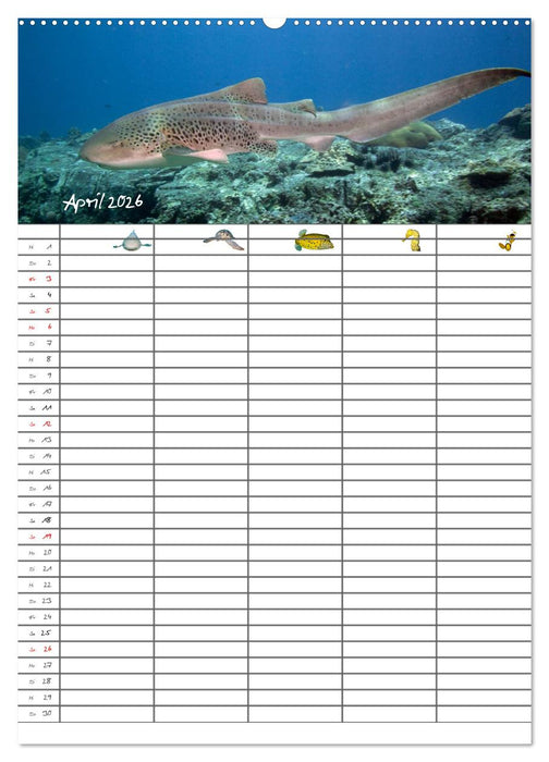 Der Unterwasser Familienplaner 2026 (CALVENDO Premium Wandkalender 2026)