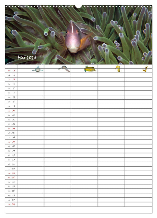 Der Unterwasser Familienplaner 2026 (CALVENDO Premium Wandkalender 2026)