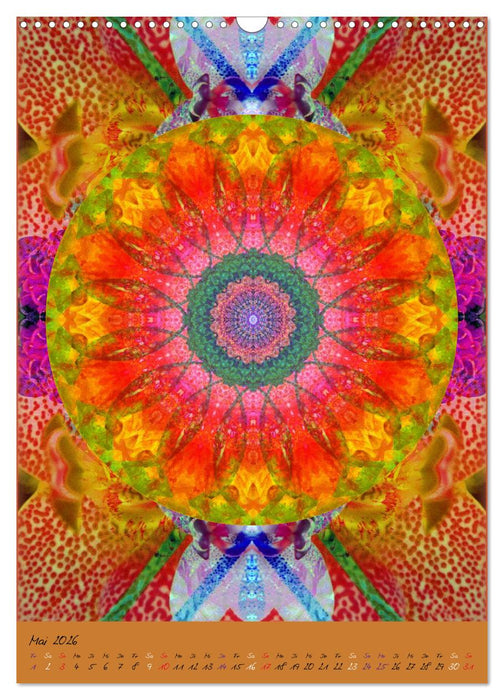 Mandala Energien (CALVENDO Wandkalender 2026)