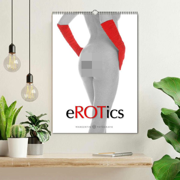 eROTics (CALVENDO Wandkalender 2026)