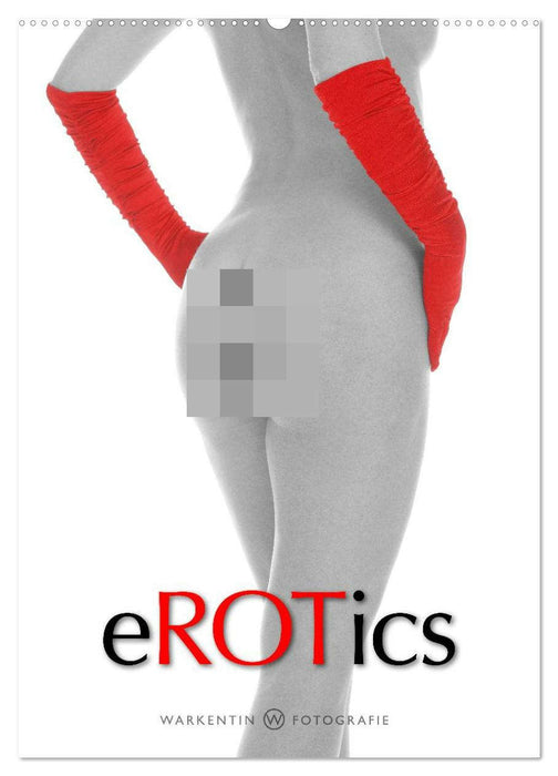 eROTics (CALVENDO Wandkalender 2026)