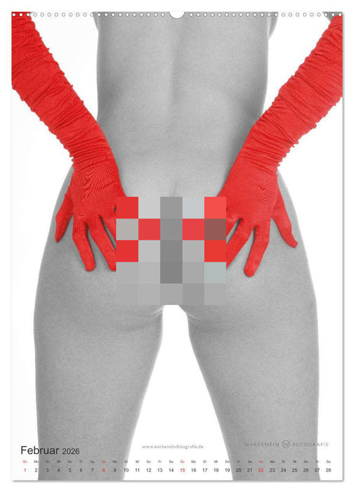 eROTics (CALVENDO Wandkalender 2026)