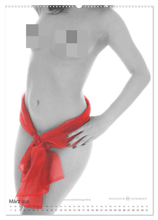 eROTics (CALVENDO Wandkalender 2026)