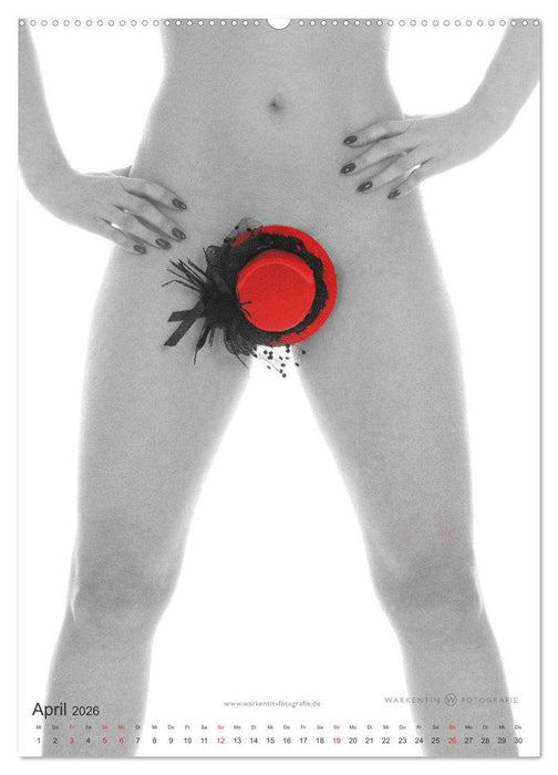 eROTics (CALVENDO Wandkalender 2026)