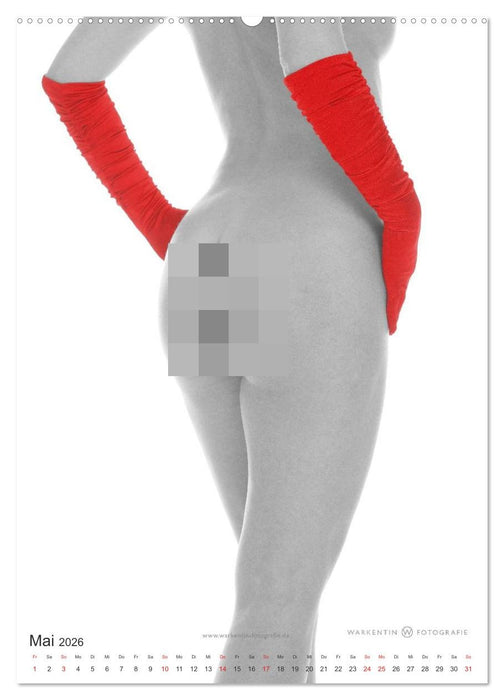 eROTics (CALVENDO Wandkalender 2026)