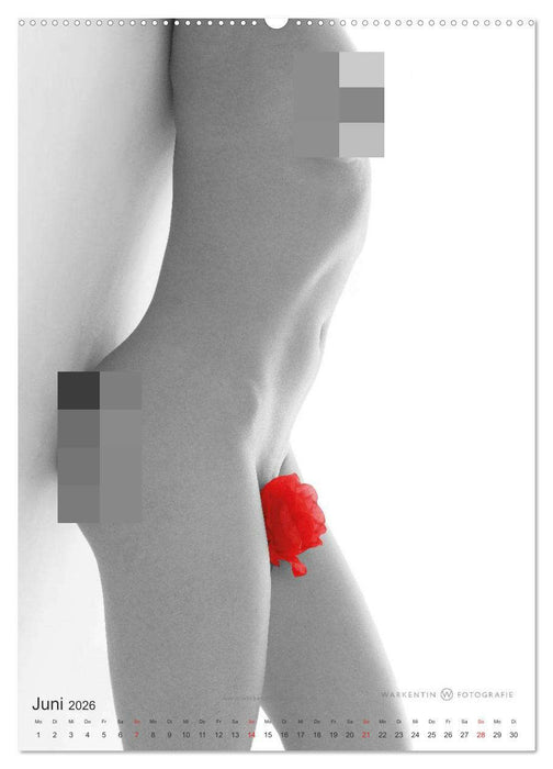 eROTics (CALVENDO Wandkalender 2026)