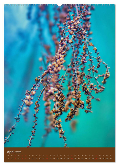 Natur-Romantik (CALVENDO Premium Wandkalender 2026)