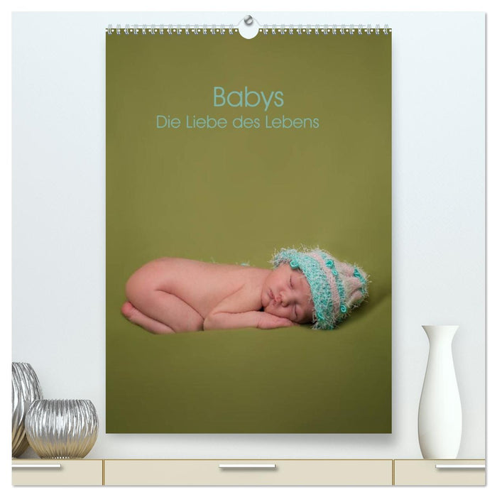 Babys - Die Liebe des Lebens (CALVENDO Premium Wandkalender 2026)