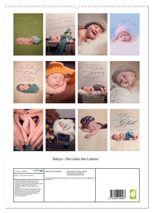 Babys - Die Liebe des Lebens (CALVENDO Premium Wandkalender 2026)