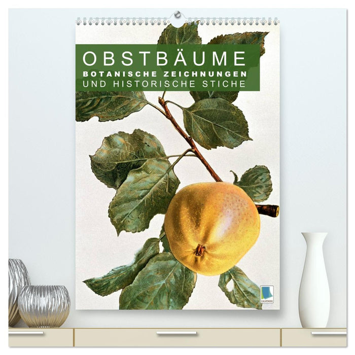 Obstbäume: Botanische Zeichnungen und historische Stiche (CALVENDO Premium Wandkalender 2026)