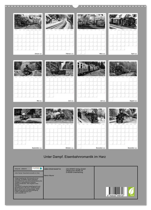 Unter Dampf. Eisenbahnromantik im Harz (CALVENDO Premium Wandkalender 2026)