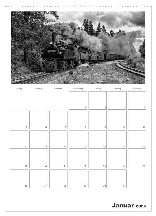 Unter Dampf. Eisenbahnromantik im Harz (CALVENDO Premium Wandkalender 2026)