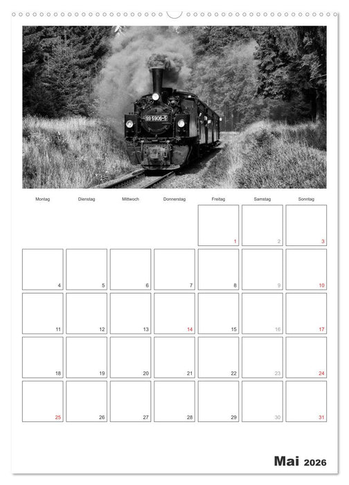 Unter Dampf. Eisenbahnromantik im Harz (CALVENDO Premium Wandkalender 2026)