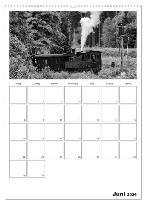 Unter Dampf. Eisenbahnromantik im Harz (CALVENDO Premium Wandkalender 2026)
