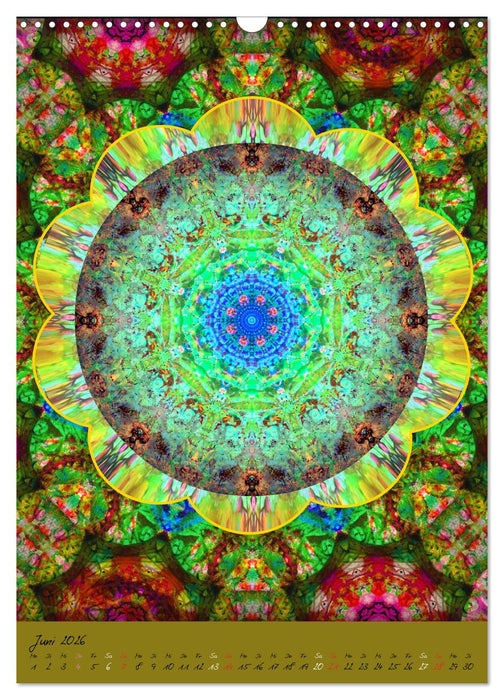 FLORALE MANDALAS (CALVENDO Wandkalender 2026)