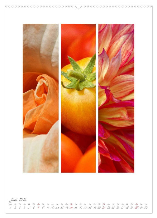 Natur Farben Dreiklang (CALVENDO Premium Wandkalender 2026)