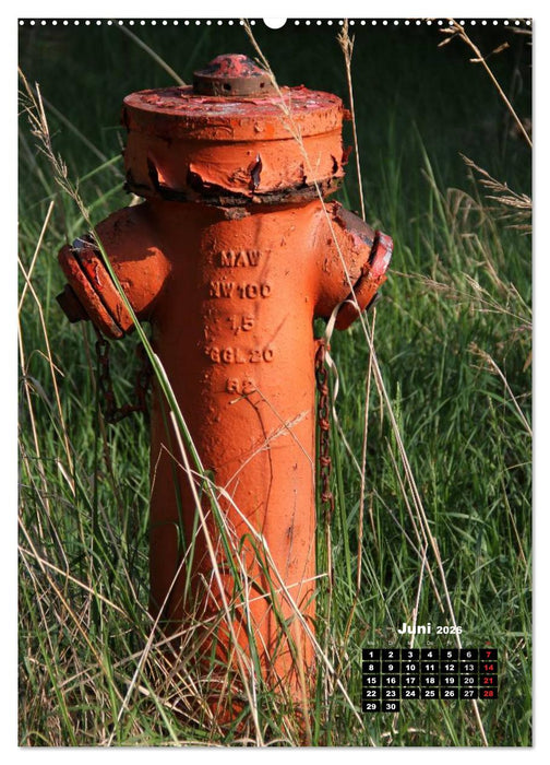 Nostalgie Hydranten (CALVENDO Wandkalender 2026)