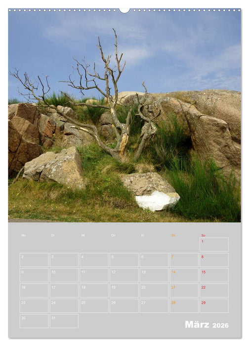 Bornholm - Die Sonneninsel Dänemarks (CALVENDO Wandkalender 2026)