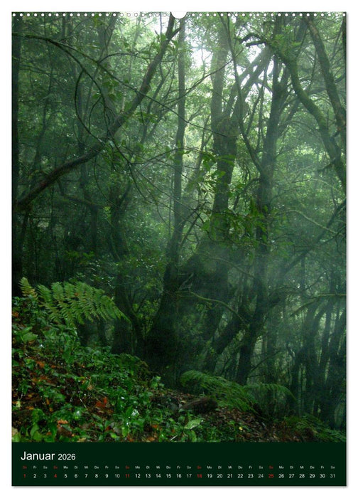 Inseltraum La Gomera (CALVENDO Premium Wandkalender 2026)