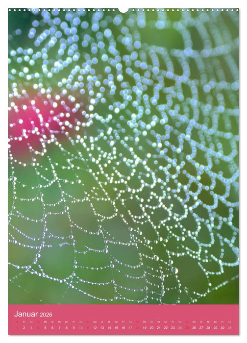 Natur-Romantik (CALVENDO Wandkalender 2026)