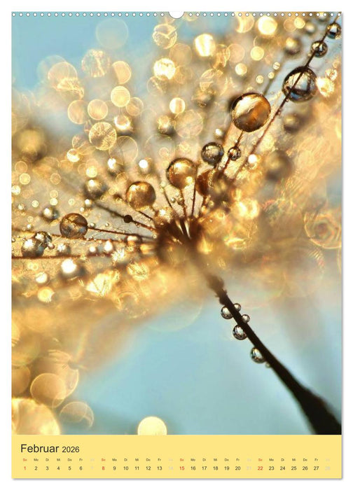 Natur-Romantik (CALVENDO Wandkalender 2026)