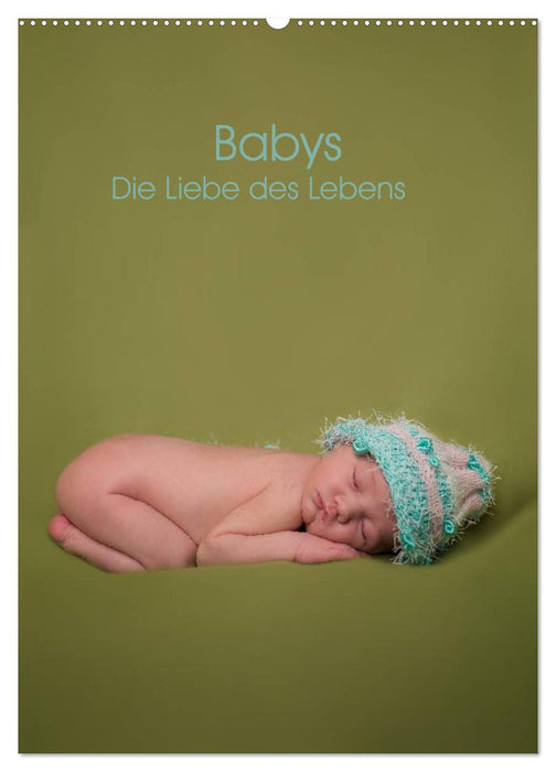 Babys - Die Liebe des Lebens (CALVENDO Wandkalender 2026)