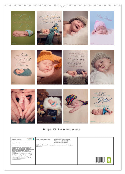 Babys - Die Liebe des Lebens (CALVENDO Wandkalender 2026)