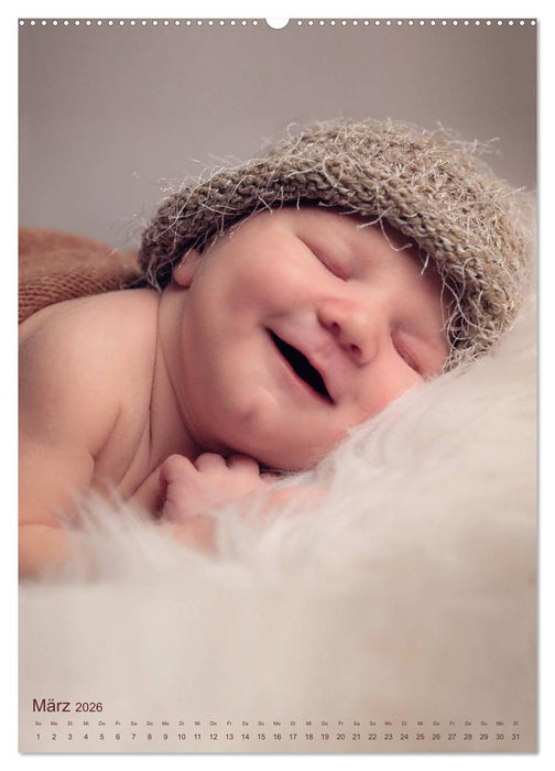 Babys - Die Liebe des Lebens (CALVENDO Wandkalender 2026)