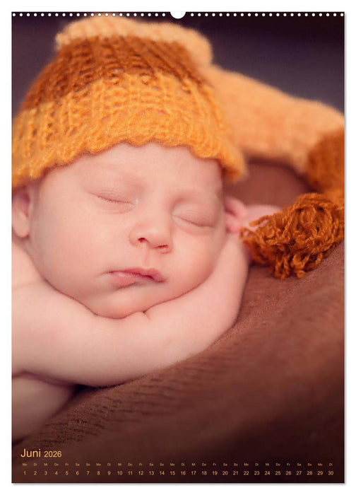 Babys - Die Liebe des Lebens (CALVENDO Wandkalender 2026)