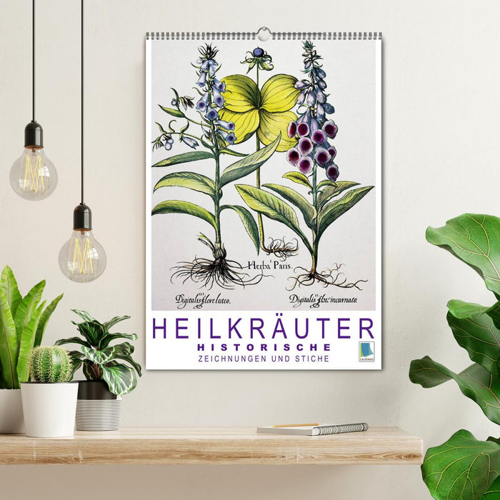 Heilkräuter: Historische Zeichnungen und Stiche (CALVENDO Wandkalender 2026)