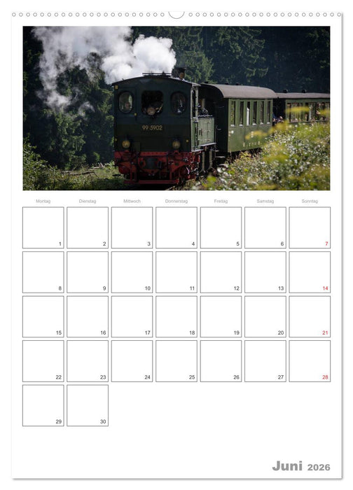Mit Dampf durch den Harz (CALVENDO Wandkalender 2026)
