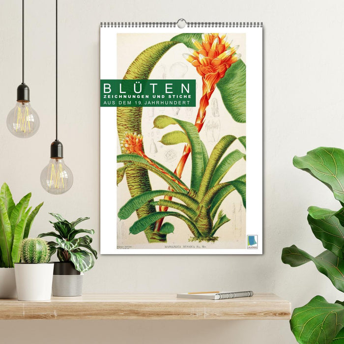 Blüten: Zeichnungen und Stiche aus dem 19. Jahrhundert (CALVENDO Wandkalender 2026)