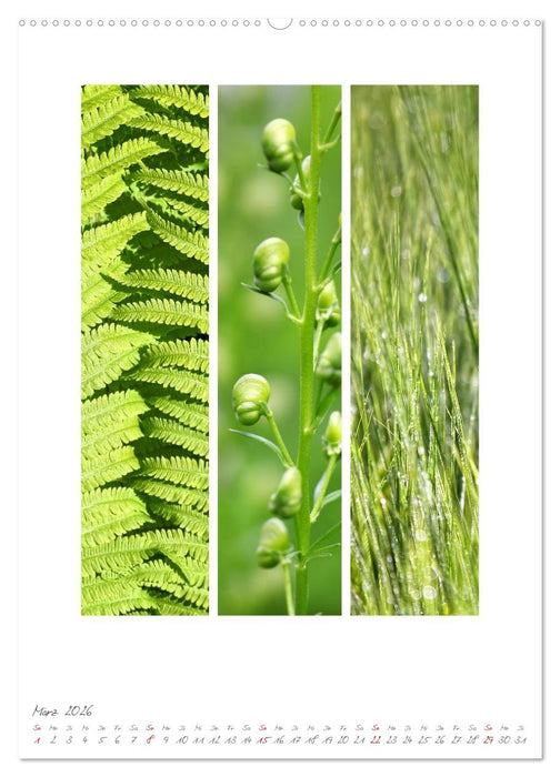 Natur Farben Dreiklang (CALVENDO Wandkalender 2026)