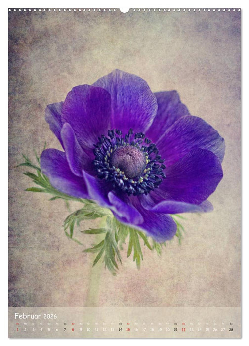 Blumengeflüster (CALVENDO Premium Wandkalender 2026)