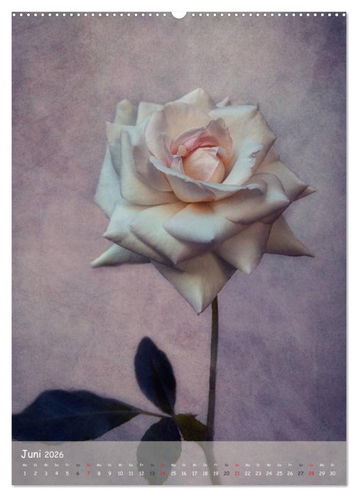 Blumengeflüster (CALVENDO Premium Wandkalender 2026)