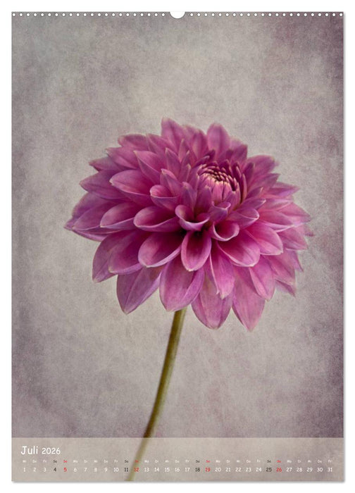 Blumengeflüster (CALVENDO Premium Wandkalender 2026)