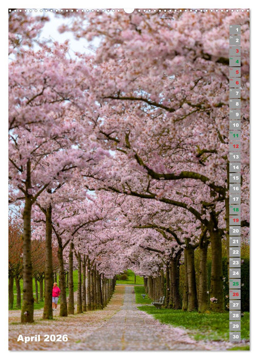 Wismar Stadtansichten (CALVENDO Premium Wandkalender 2026)