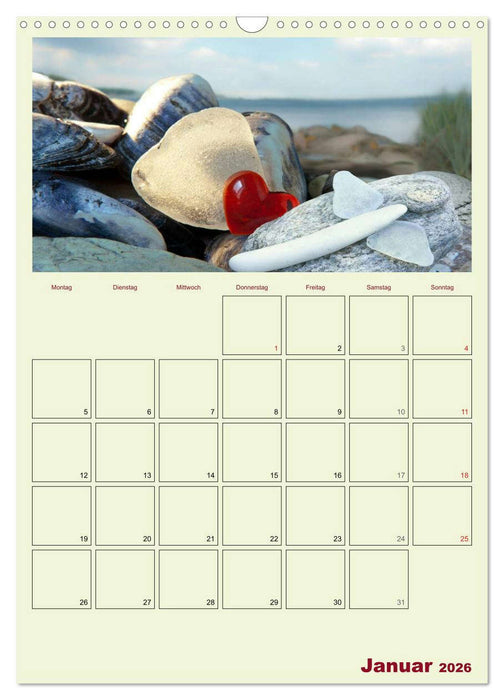 Monatsplaber für fleißige Engel (CALVENDO Wandkalender 2026)