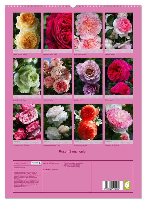 Rosen Symphonie (CALVENDO Premium Wandkalender 2026)