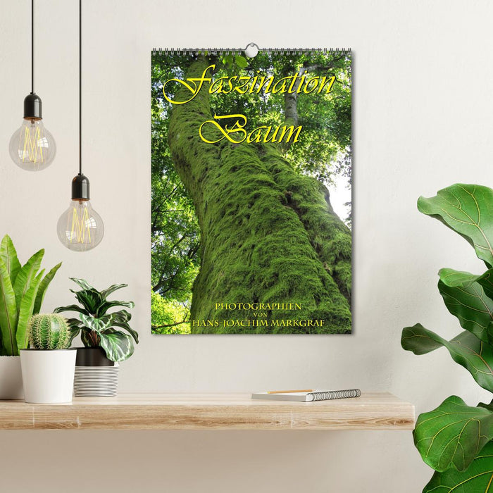 Faszination Baum (CALVENDO Wandkalender 2026)