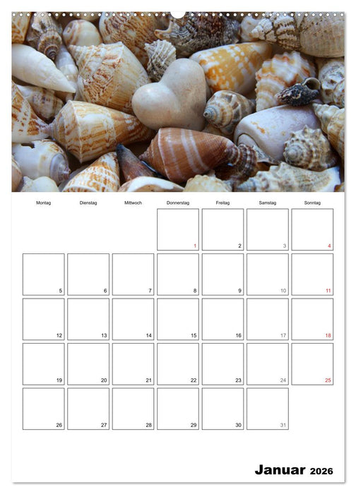 Ein herzliches Jahr (CALVENDO Premium Wandkalender 2026)