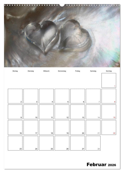 Ein herzliches Jahr (CALVENDO Premium Wandkalender 2026)