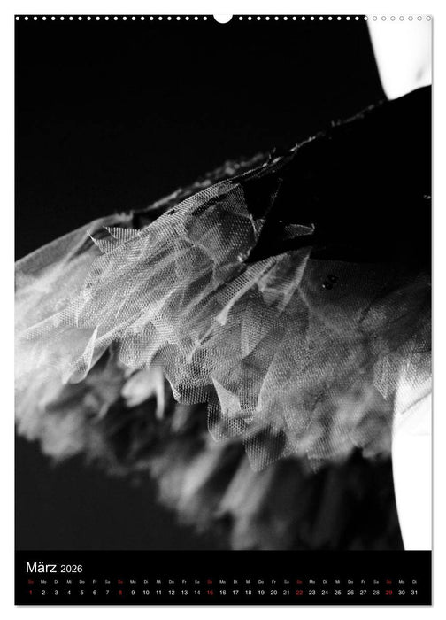 Ballett Schwarzweiss (CALVENDO Premium Wandkalender 2026)