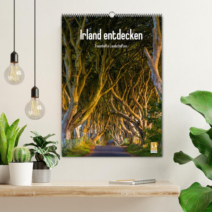 Irland entdecken (CALVENDO Wandkalender 2026)
