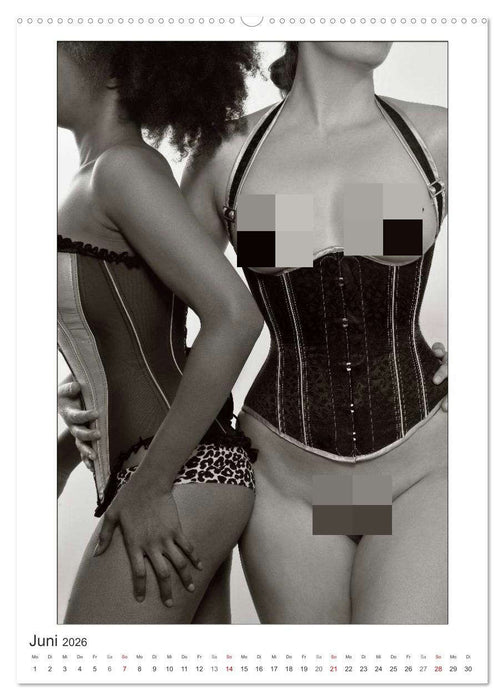Korsetts Körperlinien "Waist Wards" 2026 (CALVENDO Premium Wandkalender 2026)