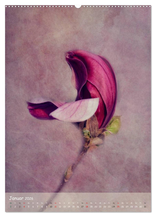 Blumengeflüster (CALVENDO Wandkalender 2026)