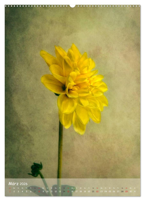 Blumengeflüster (CALVENDO Wandkalender 2026)