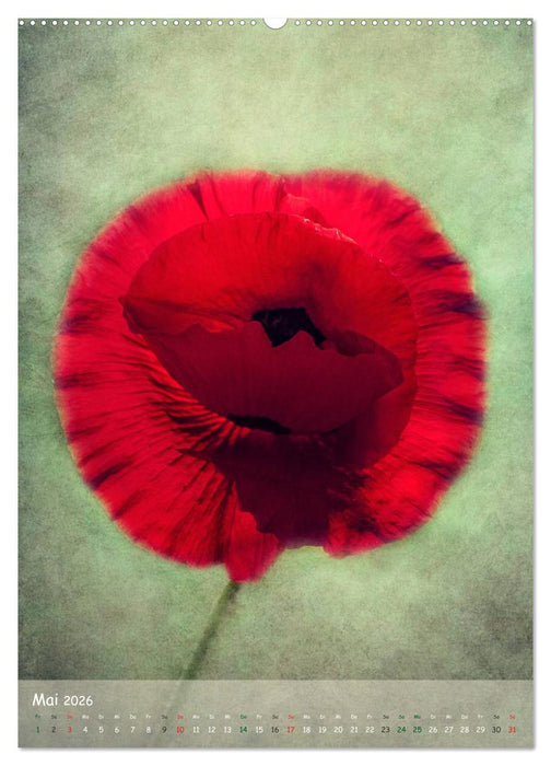 Blumengeflüster (CALVENDO Wandkalender 2026)